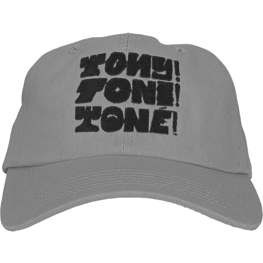 Tony! Toni! Toné! "Stacked Logo" Dad Hat in Silver